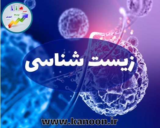 نکات و تست‌های کنکور "از ماده به انرژی" - مهدی خداوندلو