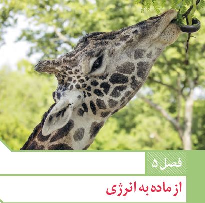 خلاصه کربس (از ماده به انرژی) فصل5- مهساسادات هاشمی