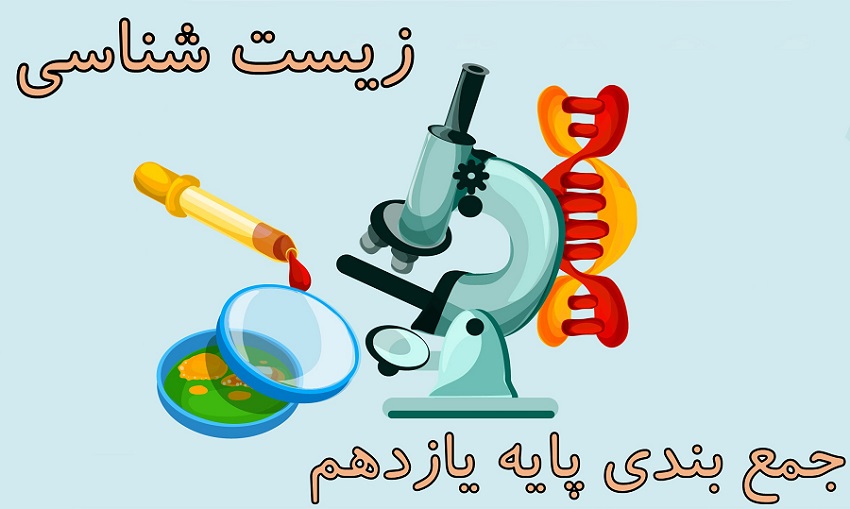 زیست شناسی یازدهم: جمع بندی با 18 تست چالشی