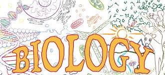 تبادلات گازی- جمع بندی نکات- سعید شرفی