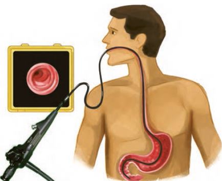 مرور سریع  بخش بافت- مهساسادات هاشمی