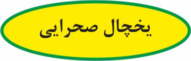 یخچال صحرایی- شیمی یازدهم - خلاصه نکات - هادی مهدی‌زاده