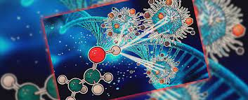 زیست شناسی- نکات زیست 2- سری اول- سیدنیکان سید قیاسی