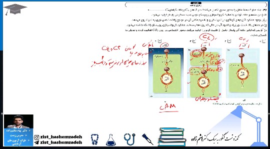 فیلم: جمع بندی گیاهان C3 و C4 و CAM