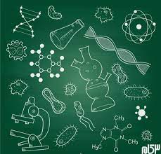زیست دهم: فصل 4 زیست دهم و فصل 2 زیست یازدهم - نگین کیانی