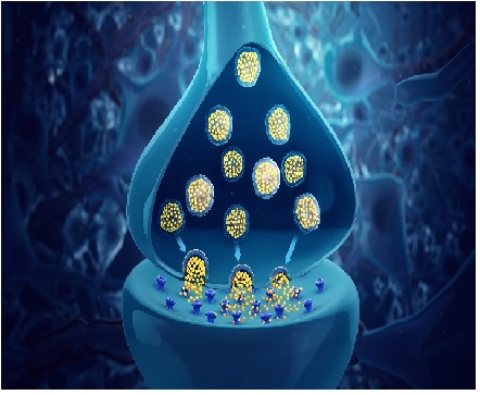 زیست شناسی- تنظیم عصبی -غلامرضا جمالی