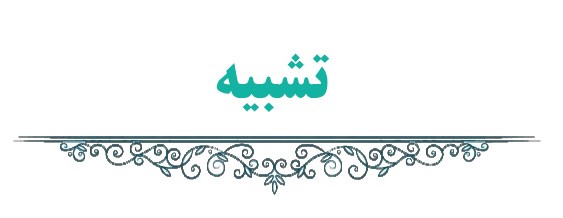 آرایه‌های ادبی (تشبیه) - نیایش پورافراسیابی