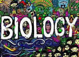 مولکول‌های اطلاعاتی-زیست دوازدهم- فیلم آموزشی-حسین شکوه