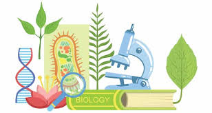 جریان اطلاعات در یاخته-فیلم آموزش نکات-حسین شکوه