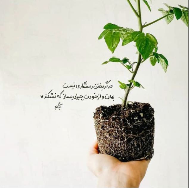 کامنت‌های مثبت و موثر شما به انتخاب شیلا کیانی1400/6/6