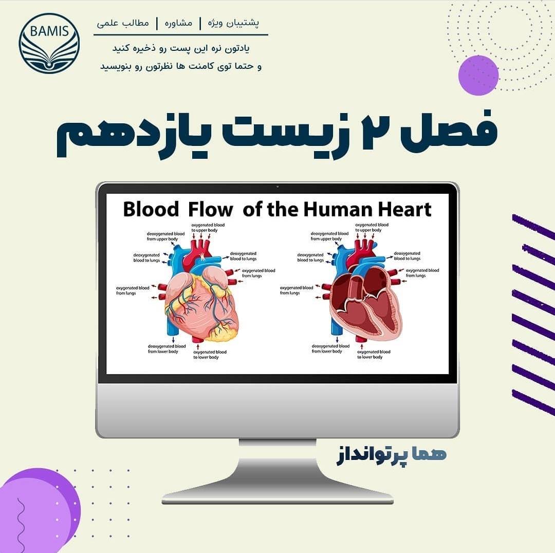 فصل دوم_زیست شناسی یازدهم_هما پرتوانداز