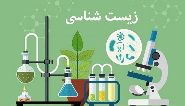 آزمایشات ایوری_زیست دوازدهم_هما پرتوانداز