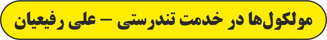 مولکول‌ها در خدمت تندرستی 3- شیمی 3- آزمونک - علی رفیعیان