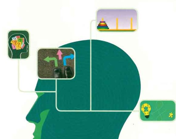 رشد و توجه،ادراک-روانشناسی یازدهم- آزمونک-یاسین مهدیان