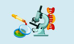 زیست جانوری - زیست یازدهم - بهزاد حیدری