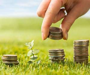 نقدینگی و شبه پول-اقتصاد دهم-نگار غلامی