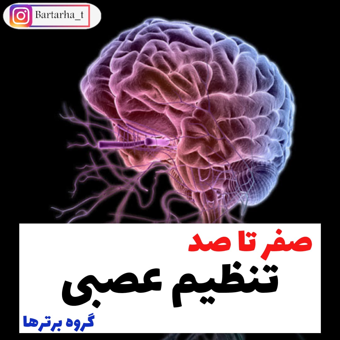 صفر تا صد تنظیم عصبی(3) - زیست یازدهم - محمدمهدی مقصودی