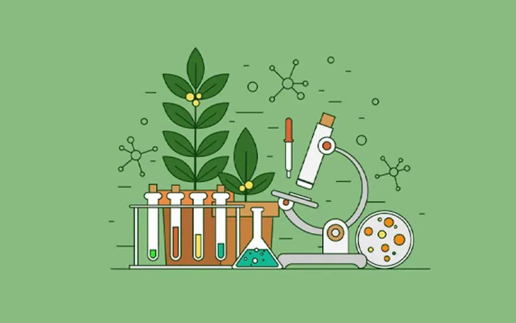 دستگاه تولیدمثلی زنان-زیست یازدهم-محمدمهدی مقصودی