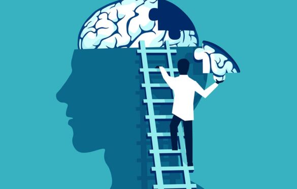 روان‌شناسی - درس‌نامه و آزمونک آزمون 22 مهر-نویسنده: مهسا عفتی