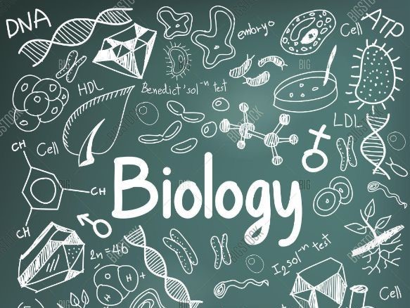 درسنامه زیست آزمون 7 فروردین پایه دوازدهم تجربی