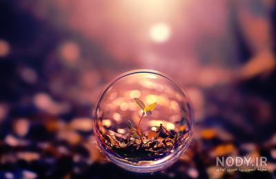 کامنت های مثبت و موثر به انتخاب شیلا کیانی