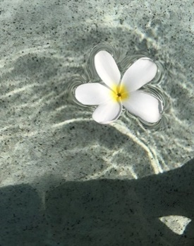 کامنت‌های مثبت و موثر به انتخاب شیلا کیانی