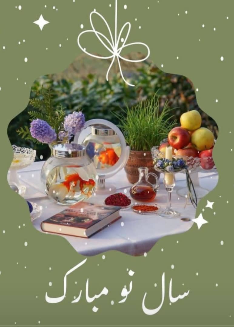 کامنت های مثبت و موثر به انتخاب شیلا کیانی