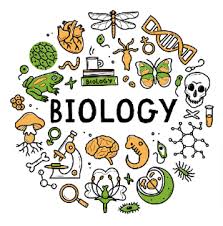 ویژه تجربی‌ها: درس زیست‌شناسی در دوران جمع بندی