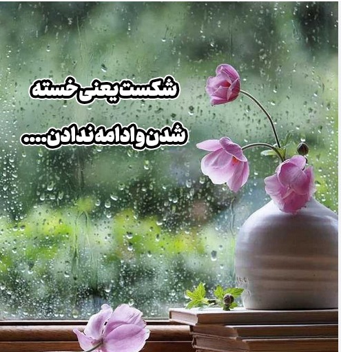 کامنت‌های مثبت و موثر به انتخاب شیلا کیانی