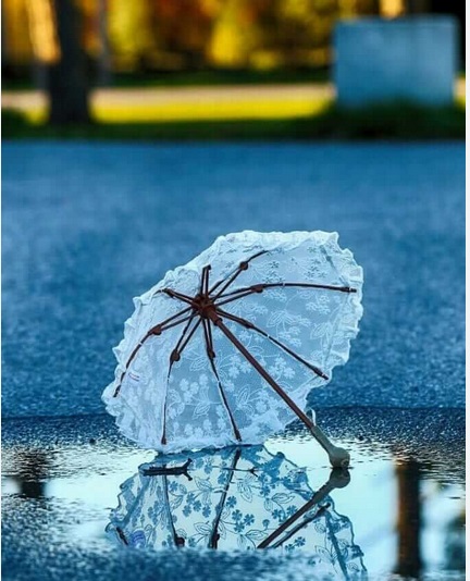 کامنت‌های مثبت و موثر به انتخاب شیلا کیانی