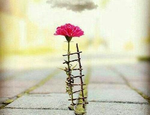 کامنت‌های مثبت و موثر به انتخاب شیلا کیانی