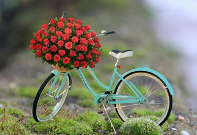 کامنت‌های مثبت و موثر به انتخاب شیلا کیانی