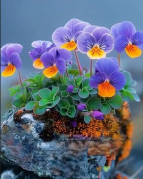 کامنت‌های مثبت کنکوری‌های 404