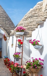 کامنت‌های مثبت و موثر به انتخاب شیلا کیانی