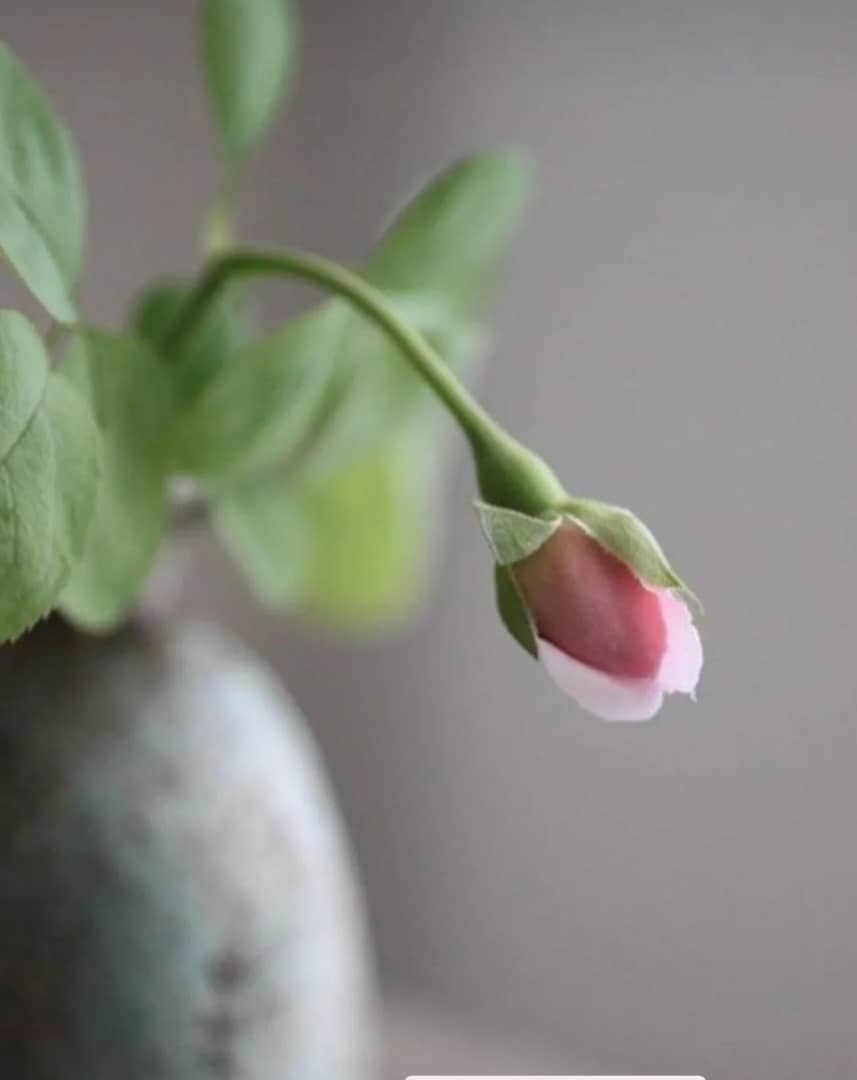 کامنت‌های مثبت و موثر به انتخاب شیلا کیانی