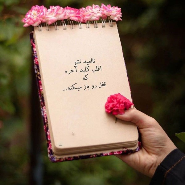 کامنت‌های مثبت و موثر به انتخاب شیلا کیانی