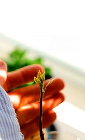 کامنت‌های مثبت و موثر به انتخاب شیلا کیانی