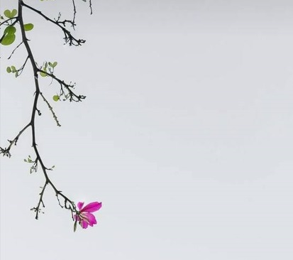 کامنت‌های تبریک بعد از اعلام نتایج کنکور 1405