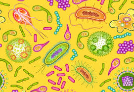 پاسخ تشریحی زیست‌شناسی خارج از کشور تجربی 98 نظام جدید