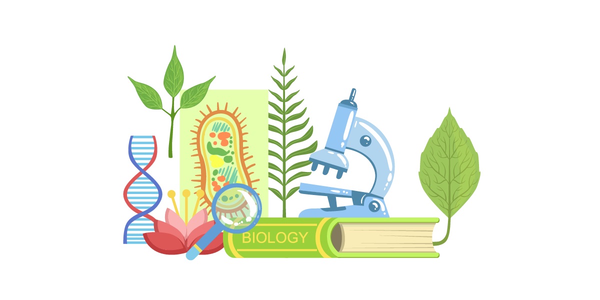 اشکان هاشمی: تحلیل و بررسی رویکردهای زیست کنکور99