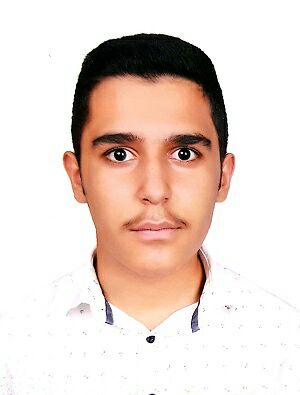 سهند عطاری رتبه 22 منطقه 1 کنکور تجربی 1403(4 سال، 82 آزمون)