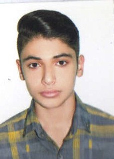 گفت وگو با امیر محمد صالحی؛برت دوازدهم انسانی با 2811 پاسخ صحیح