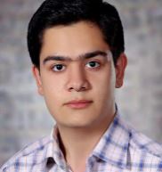 پرهام زاهدی برتر ریاضی ، نمودار پیشرفت با 896 پاسخ صحیح