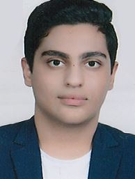 امیر حسین ربیعیان ، برتر ریاضی نمودار پیشرفت با 2528 پاسخ صحیح