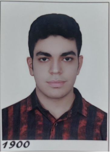 امیرمحمد همتی؛ نمودار پیشرفت در 4 سال، 1987 پاسخ صحیح