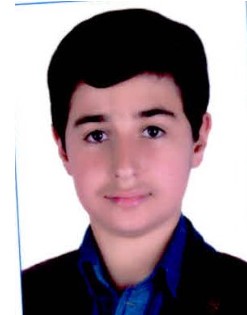 محمدحسن رضایی؛ نمودار پیشرفت در 4 سال، 1137 پاسخ صحیح