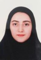 ساغر اسفهبدی برتر انسانی ، نمودار پیشرفت با 2741 پاسخ صحیح