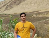 امیررضا کرمی برتر انسانی ، نمودار پیشرفت با 3563 پاسخ صحیح