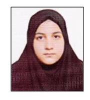 محدثه حسامی؛ نمودار پیشرفت در 1 سال، 2840 پاسخ صحیح