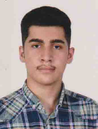 سیدمحمدحسام رحیمی؛ نمودار پیشرفت در 1سال، 2596پاسخ صحیح